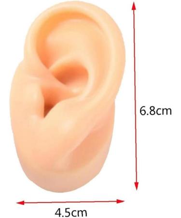 Professional Ear Piercing Tool Silicone Ear Model Practice Piercing Tools Ear Stud Display Tool Body Jewelry - Buy Online on GoSupps.com