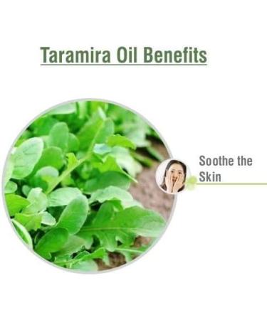 100% Pure Taramira Essential Oil (Eruca Sativa) - Undiluted Aromatherapy Oil - Therapeutic Grade 250ML for International Shipping - Buy Online on GoSupps.com