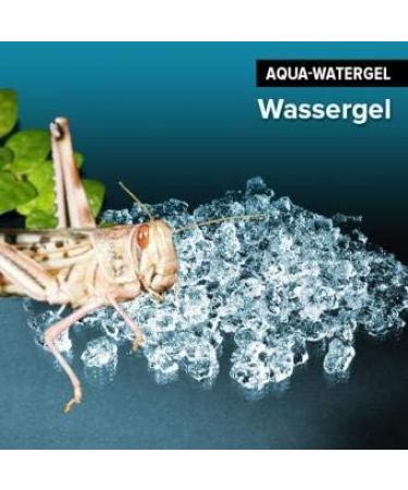 Buy 1000ml Ready-to-Use Water Gel for Reptiles Spiders & Insects | International Shipping Available - Buy Online on GoSupps.com