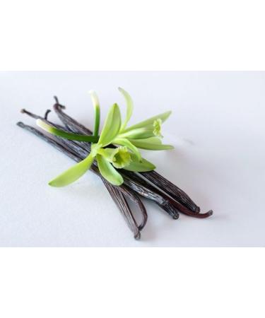  Olive Spa Moisturizing lip balm with avocado and shea butter - Buy Online on GoSupps.com