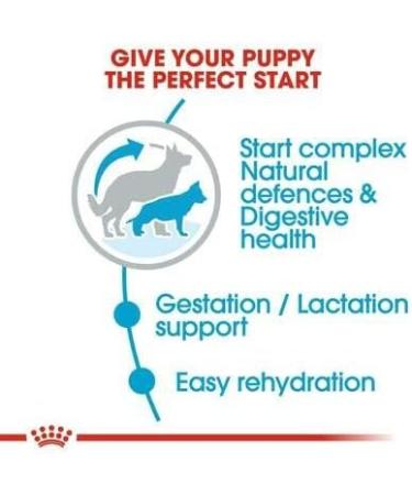 Royal Canin Maxi Starter Dog Food 15kg - Buy Online on GoSupps.com