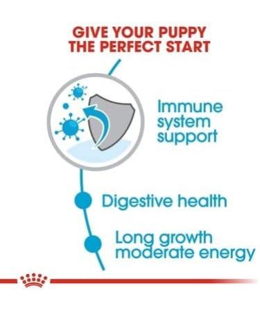 Royal Canin Maxi Puppy Dry Food 15kg - Buy Online on GoSupps.com