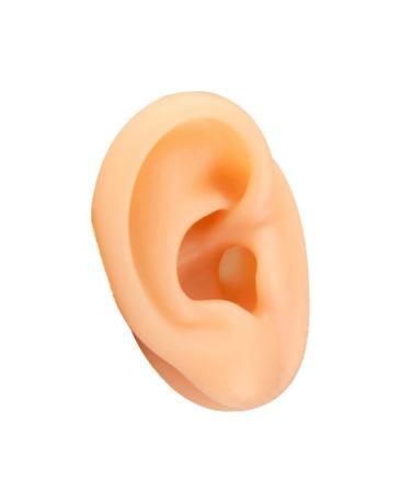 SHENGJMXIN GHuman Ear Model Simulation Artificial Human Right Ear Silicone Ear Model for Ear Picking Ear Piercing Teaching Acupuncture FakeEar Display Sample Practice Teaching Tool