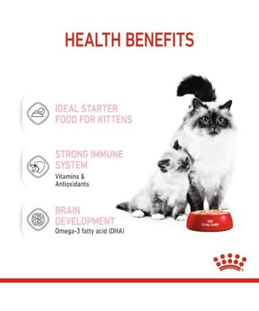 ROYAL CANIN First Age Mother & Babycat Mousse 12 x 195g - Buy Online on GoSupps.com