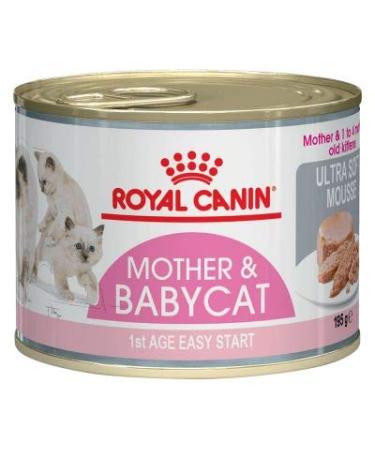 Royal Canin First Age Mother & Babycat Mousse 6 x 195g