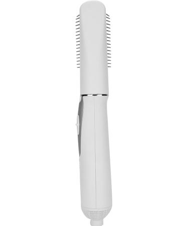 Professional Electric Hair Dryer Comb Multi Functional 2 In 1 Hair Styling Tool Home Use (US Plug 100 240V 110V) - Buy Online on GoSupps.com