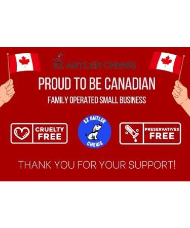 EZ Antler Chews - Deer Antlers for Dogs - Large Whole - Dogs Under 55lbs - Long Lasting Dog Treats Dog Chews - Marrow Bone Dog Treats - Naturally Shed Preservative Free Cruelty Free - Antler Dog Chew - Buy Online on GoSupps.com