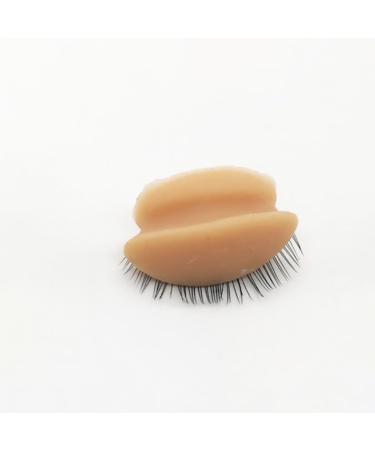 Homoyoyo Lot de 2 T tes de Mannequin pour Extensions de Cils 6 Paires de Paupi res de Remplacement Amovibles Silicone R sistant au Vieillissement Couleurs Noir Caf et Caf Clair Outil - Buy Online on GoSupps.com
