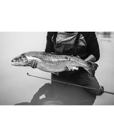 Buy ISO TRADE Waders Size 40-46 | Fishing Trousers with Boots for Pond Fishing - Size 44 - Buy Online on GoSupps.com