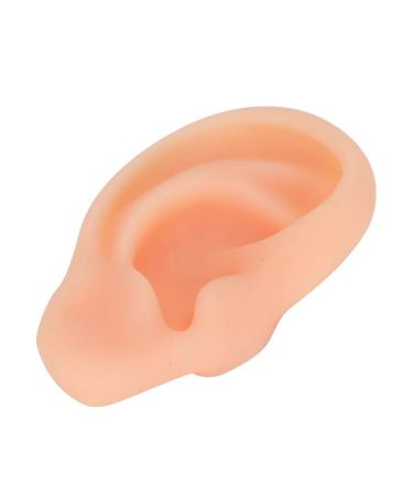 Silicone Fake Ear Model - Professional Acupuncture & Massage Teaching Tool (Right Ear) - Buy Online on GoSupps.com