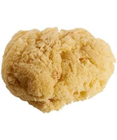 NATURAL SEA SPONGES Natural Sea Sponge for Bath and Shower for Adults Children and Baby - Buy Online on GoSupps.com
