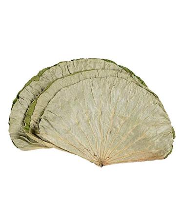 Infinitely Great Home Decor Center 500g dried lotus leaves for cooking Asian rice and food