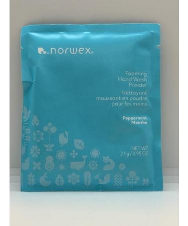 Foaming Hand Wash Powder (0.95oz) (Peppermint)