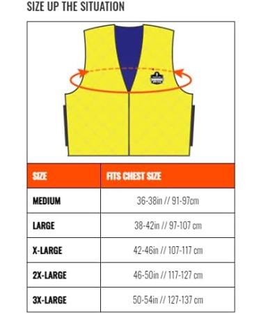 Ergodyne Chill-Its 6667 Cooling Vest - Large | Evaporative PVA Material for Fast Relief - Buy Online on GoSupps.com