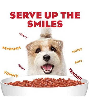 Purina Moist & Meaty Steak Flavor Adult Dry Dog Food - 36 Count Pack - Buy Online on GoSupps.com
