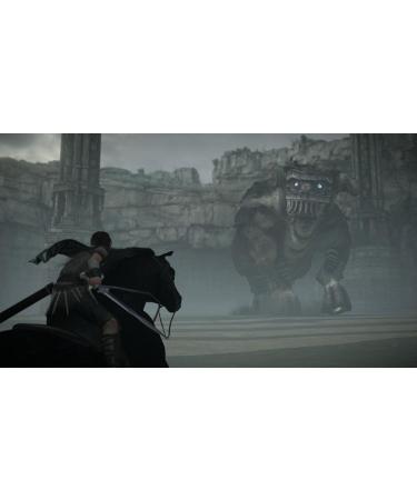 Buy Noname Shadow of the Colossus - International Shipping Available | Best Price & Fast Delivery - Buy Online on GoSupps.com