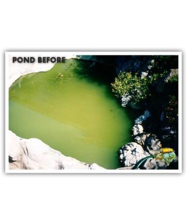 AQUAPLANCTON 1kg for the treatment of blanket weed duckweed green water sludge and all types of algae in your pond. 1 kg - Buy Online on GoSupps.com