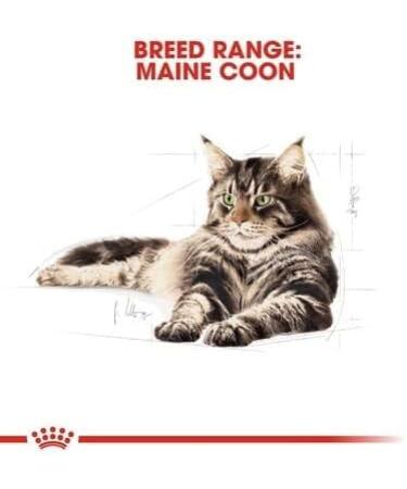 Royal Canin Maine Coon Adult Dry Cat Food 400g - Buy Online on GoSupps.com