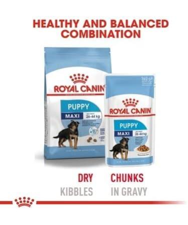 Royal Canin Maxi Puppy Dry Food 15kg - Buy Online on GoSupps.com