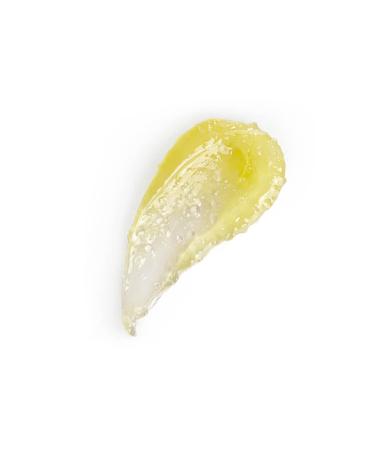 Seraphine Botanicals Lemon Balm & Thyme Lip Scrub | Exfoliating Vegan Lip Treatment for Dry Flaky Lips - 0.46 oz - Buy Online on GoSupps.com