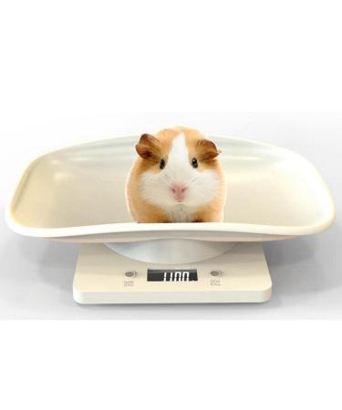 Yajuyi Versatile Digital Pet Weight Scale for Small Animals - Buy Online on GoSupps.com