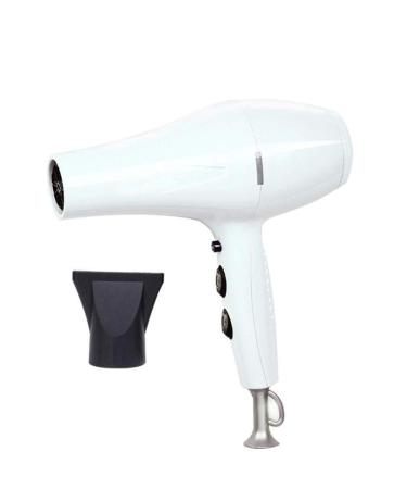 Hair Dryer Professional 2400W Salon Hairdryer Ionic 2 Speed 3 Heat Cool Shot Setting Powerful AC Motor Blow Dryer with Nozzle Powerful Quick Drying Protect Hair for Home and Salon White Small Gift