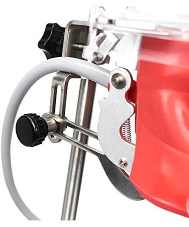 Dental Teaching Simulator Manikin Phantom Head Model Plastic Educational Teeth Model Fix on (Table Type) - Buy Online on GoSupps.com