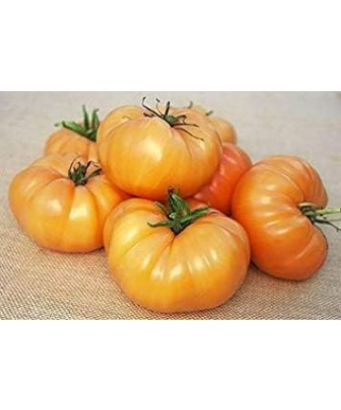 Astonish Pacchetto semi: 1000 Semi di colazione Kellogg - Pomodori Arancione - Buy Online on GoSupps.com