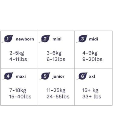 Pura Eco-Diapers Size 5 (11-25 kg) - 125 Organic Cotton Diapers EU Ecolabel Certified Odorless & 12 Hours Protection for Sensitive Skin - Monthly Box - Buy Online on GoSupps.com