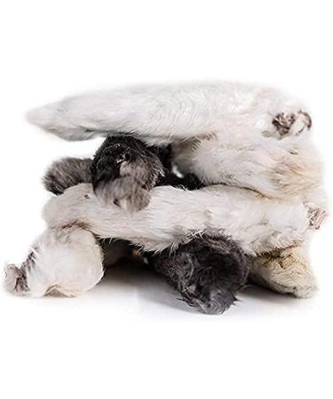 Loyalty Dog Treats Rabbit Feet Fully Natural Single Ingredient Canadian Dehydrated Dog Treat (150g) 30 g (Pack of 5) Dog Treats - Buy Online on GoSupps.com