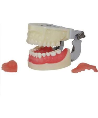 Professional Dental Model for Incision & Drainage of Abscess - Ideal for Students & Educators | International Shipping - Buy Online on GoSupps.com