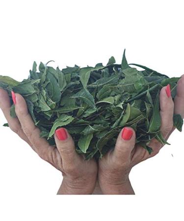 Neem Queen Tea Bags (3 Neem Tea Bags) Made in America - CAFFEINE FREE! Sample Size - Buy Online on GoSupps.com
