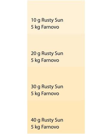 Farnovo DECOTON Mineral Powder Paint Pigments Eco / Rusty Sun (40g Yellow) - Buy Online on GoSupps.com
