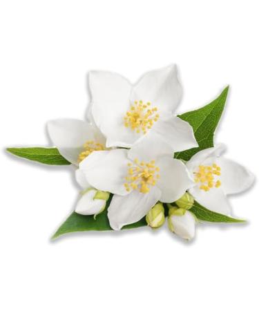 Marine soap white flowers moisturizing exfoliating cleanser based on vegetable oils and salt 100% natural scrub 350ml - Buy Online on GoSupps.com