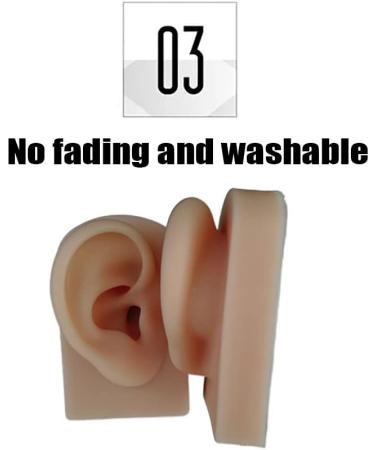 Silicone Acupuncture Ear Model Set for Science Class - Reusable & Anatomically Accurate - Buy Online on GoSupps.com