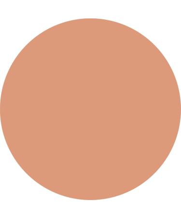 WYCON cosmetics Everyday Wear Liquid Concealer liquid with semimatte finish NW50 - Buy Online on GoSupps.com