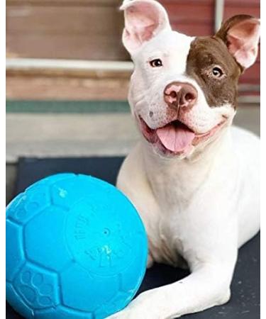 Jolly Pets Dog Football - Ocean Blue 20 cm | Multi Large/X-Large Toy - Buy Online on GoSupps.com