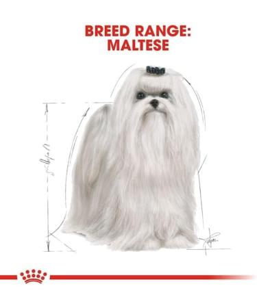Royal Canin Maltese Adult | Pack of 3 | 3 x 500 g | Maltese Adult Dry Food | to Support Coat and Digestion | for Dogs from 10 Months - Buy Online on GoSupps.com