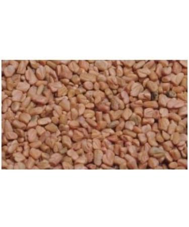 Fenugreek seed 250g POWDER Trigonella foenum-graecum - Buy Online on GoSupps.com