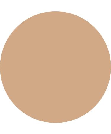 WYCON Cosmetics PARTY HARD Vegan Friendly Fluid Foundation with Natural Glow Finish - 10 DEEP NATURAL - Buy Online on GoSupps.com
