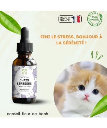 Bach Flower Advice - Bach Flowers Stressed Cat A Blend That Will Help Your Cat Calm Down 10 ML Bottle - Buy Online on GoSupps.com