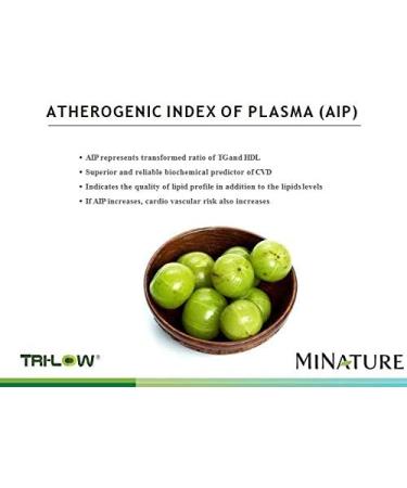 minature Healthy Heart Capsules Enriched with TRI-Low by mi Nature | 90 Veg Capsules | 45 Day Supply| 1000mg | TRI Low Amla Extract Garlic Extract Arjuna Extract | Made from Indian Herbs - Buy Online on GoSupps.com