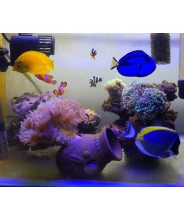 Orgmemory Ceramic Fish Tank Cave Decorations - 2 Pieces | Aquarium Accessories for Aquatic Animals - Buy Online on GoSupps.com