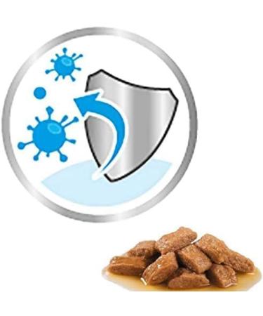 Royal Canin Maxi Puppy in Gravy Wet Dog Food (20 x 140g Pouches) - Buy Online on GoSupps.com