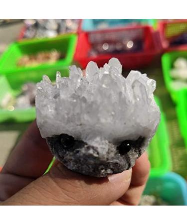 Choice of Gifts 1PC Natural White Crystal Crystal Cluster Rough Carving Little Hedgehog Vibration Natural Stones and Minerals - Buy Online on GoSupps.com