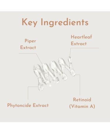 Korean Skin Care Serum for Oily & Acne-Prone Skin | Reboncel AC Gel with Hyaluronic Acid & Retinyl Palmitate - 15 mL - Buy Online on GoSupps.com