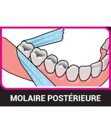 X-Ribbon Dental Gauze Floss - 12m Roll | Premium Oral Care for Healthy Teeth & Gums - Fast International Shipping - Buy Online on GoSupps.com