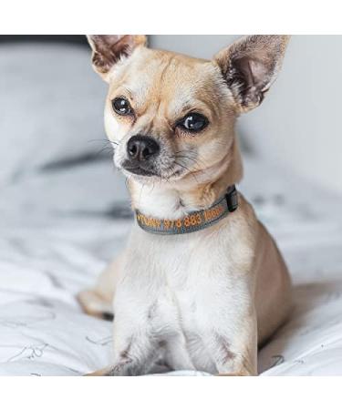Buy Tagme Personalized Reflective Dog Collar for Small Dogs - Embroidered Pet Name & Phone Number Gray XS (1 Pack) - International Shipping Available - Buy Online on GoSupps.com