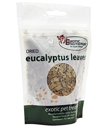 Eucalyptus Leaves (2 Pack) - Sugar Glider Treat