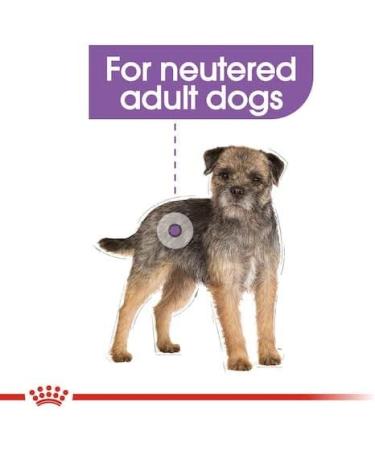 Royal Canin Mini Sterilised Adult Dry Dog Food 3kg - Buy Online on GoSupps.com